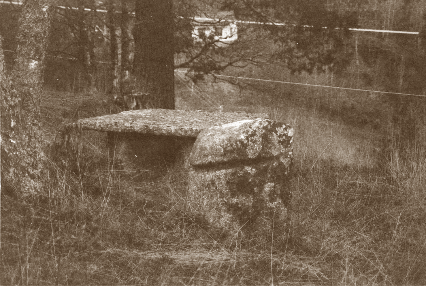 Stein og bord av stein i natur