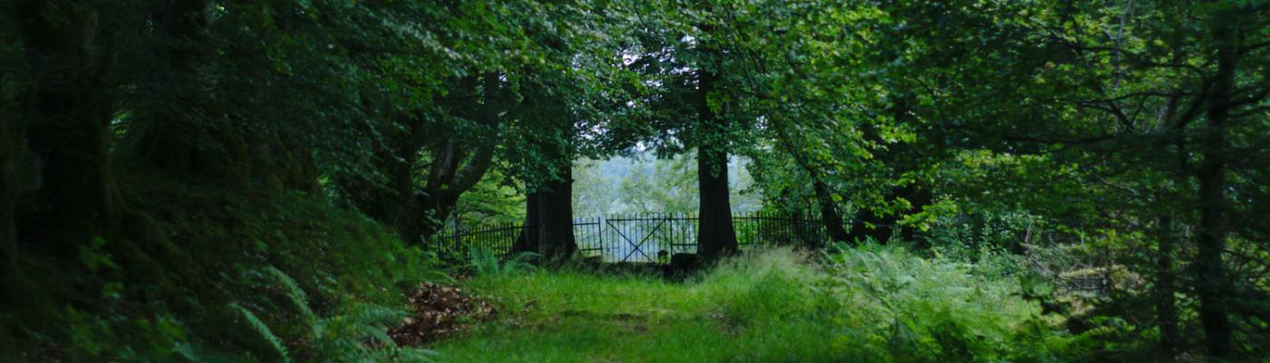 Fredensborg cemetery in Fjaler, Norway.