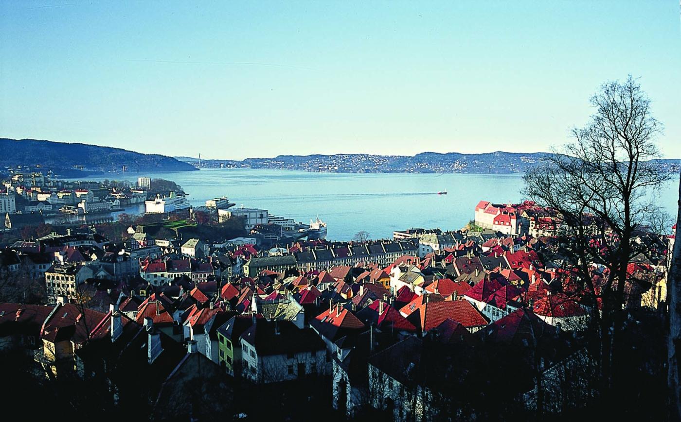 Byfjorden 