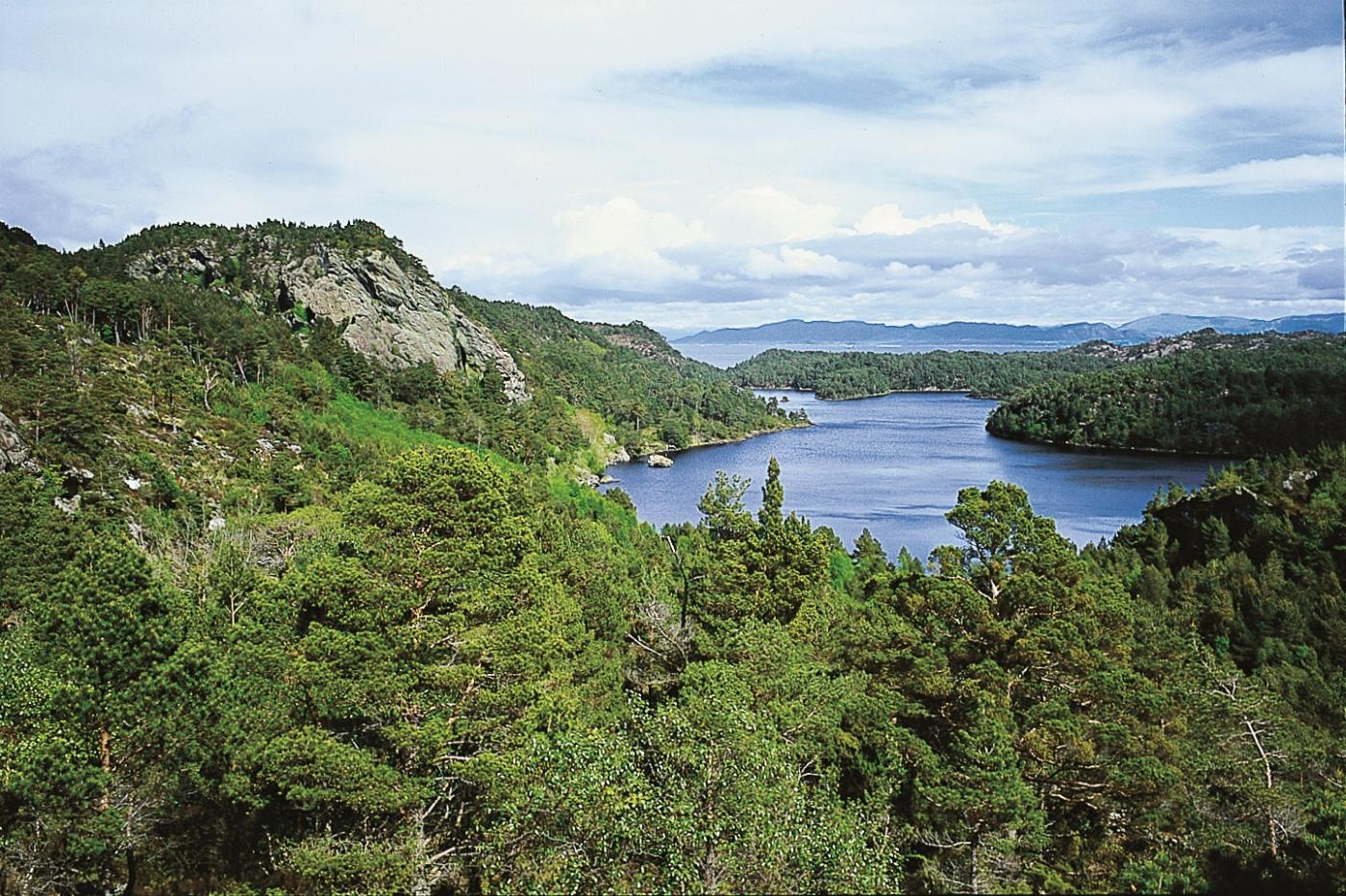 Bergesvatnet med Skogafjellet til venstre. 