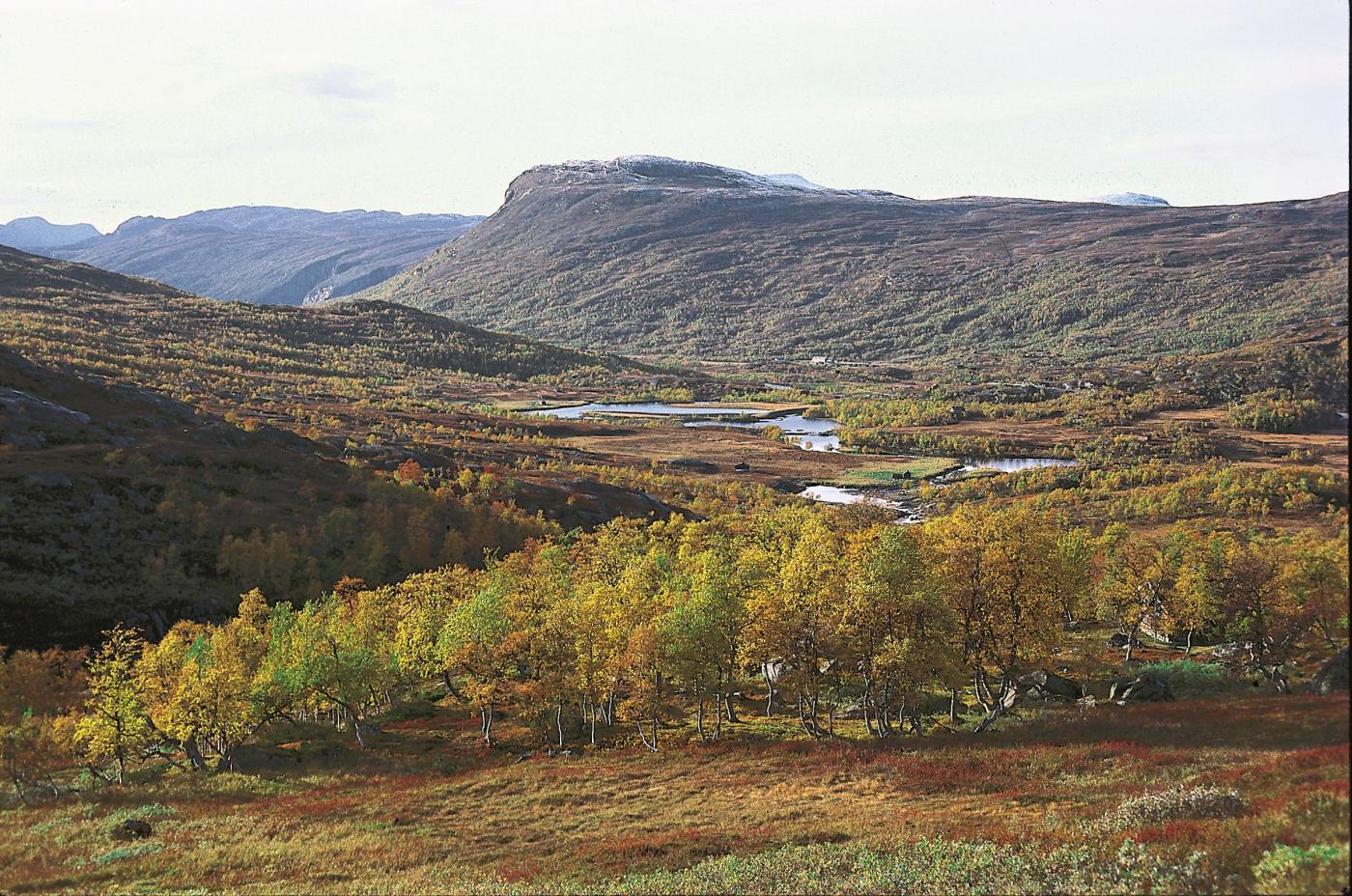 Fjellsidene i Sysendalen