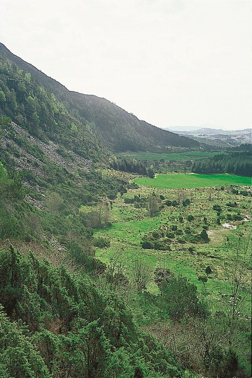 Strandflate og ur ved Landa