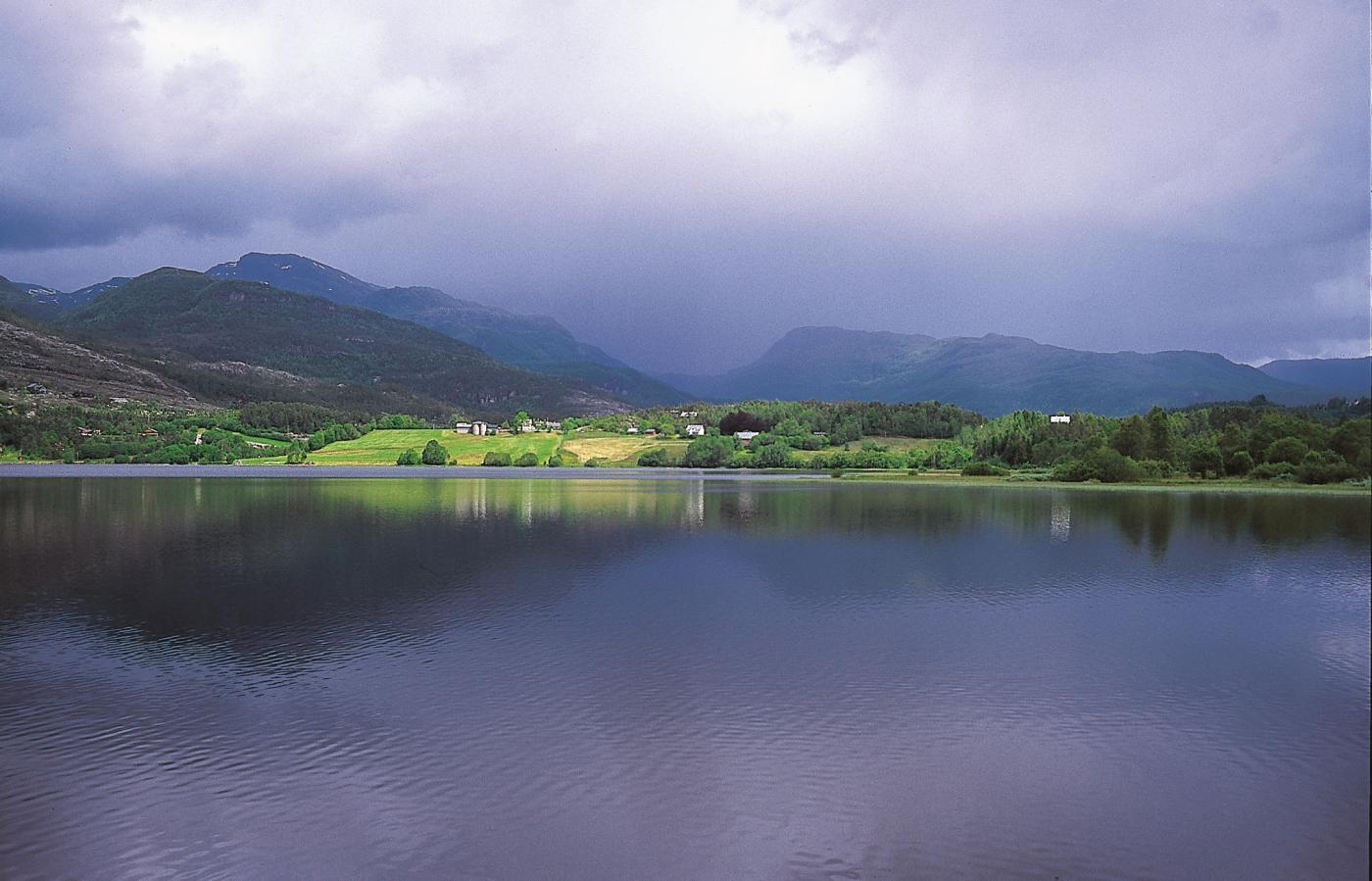 Skjelbreidterrassen