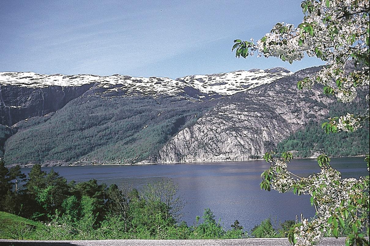 Kontrasten mellom fyllitt og grunnfjell er tydeleg ved Lussand