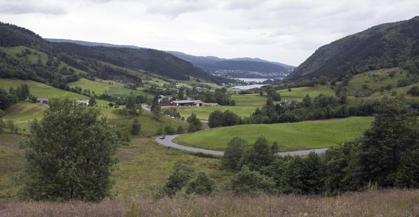 Mjelddalen mot Sørfjorden 