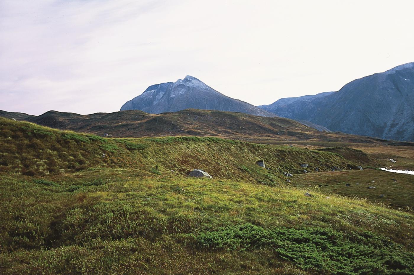 Langhaugane, Ulvanosa i bakgrunnen.