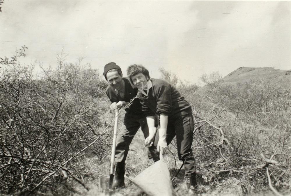 Torleiv Førland på skogplanting på Island i 1961. Dei var gjerne ei kvinne og ein kar i sving på plantefeltet, han laga hol, ho sette planta nedi og trødde til.