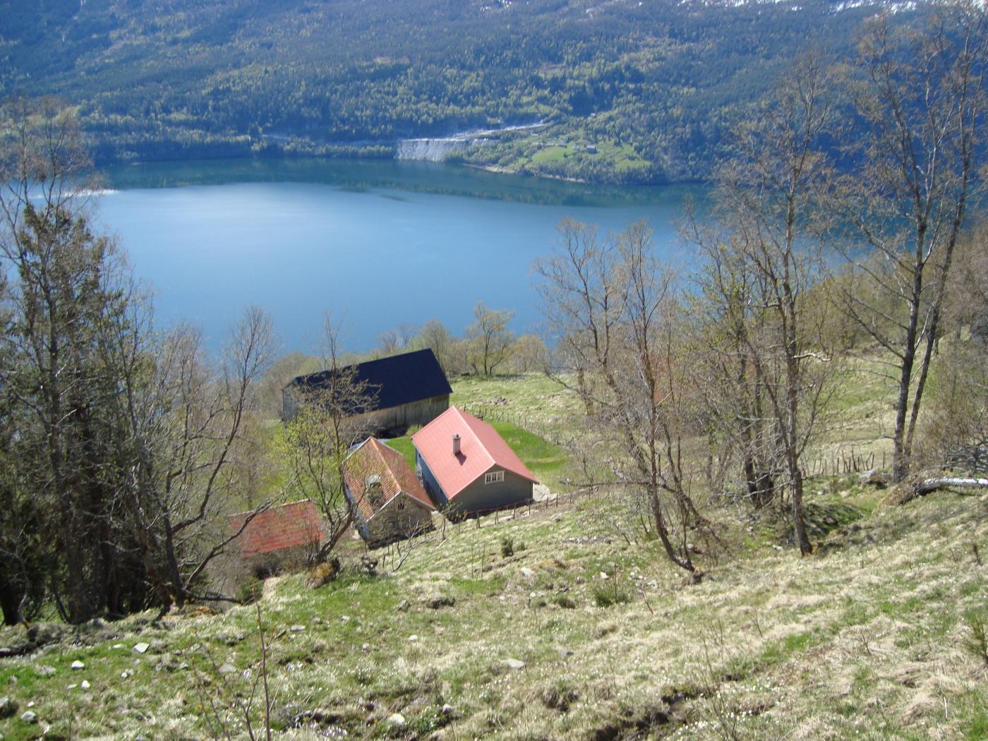 Garden Gald på Nordsida i Stryn.