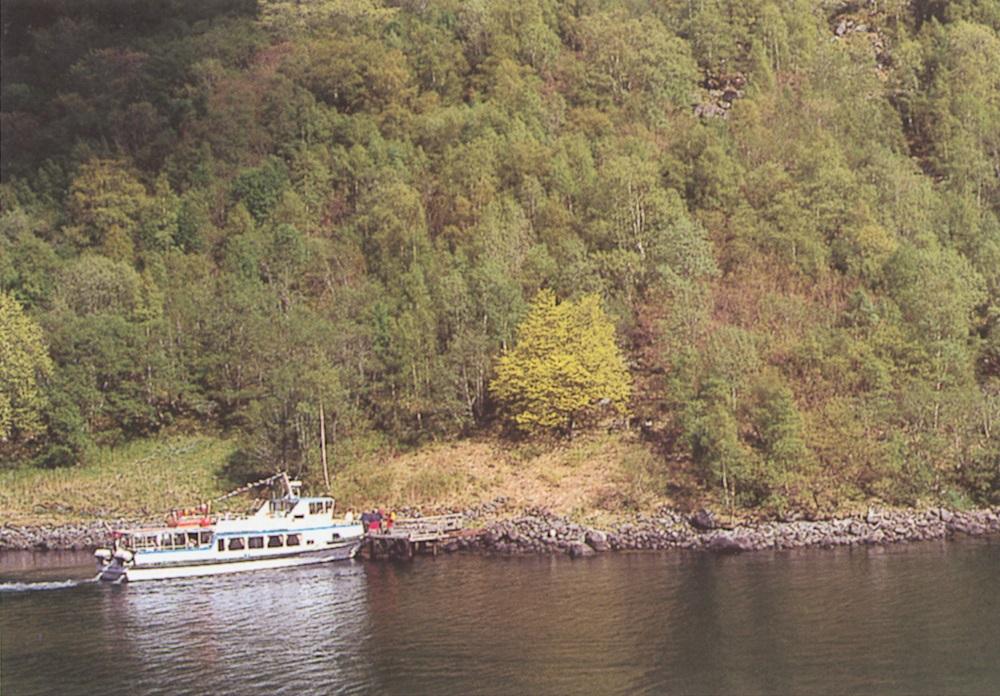 Linda som står på Bleiklindneset no er om lag 115 år gammal og skal vera komen opp som stubbeskot frå treet som amtmann G. P. Blom såg her i 1823. Sommaren 1996 var Bleiklindi 22 m høg. Stammen, som er delt om lag 50 cm over bakken, har omkrins i brysthøgd på 175 og 105 cm.
