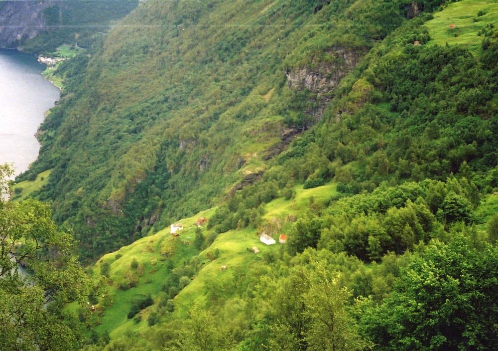 Dei to bruka på Stigen sett frå nordvest. Undredal ligg lenger inne, nede ved fjorden. Fristølen ligg oppe i høgre bilethjørnet.

