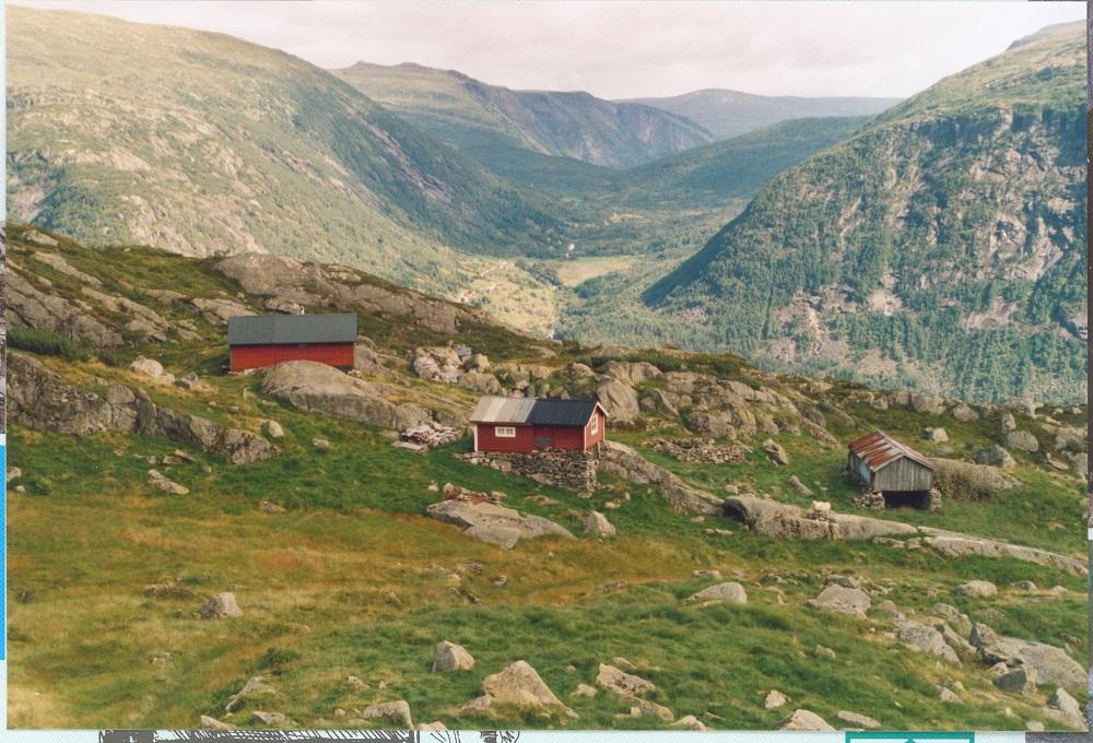 Hompedalen 2003. Det er tre sel og to tufter på <i>stølstråi.</i> I bakgrunnen Øvre Vigdal og Dalsdalen ned til Luster.