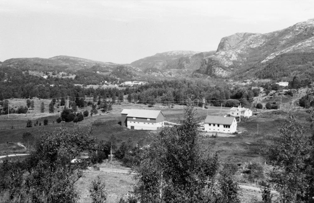 Biletet viser ein del av ytre Løland Ytre i 1950-åra.
 
 