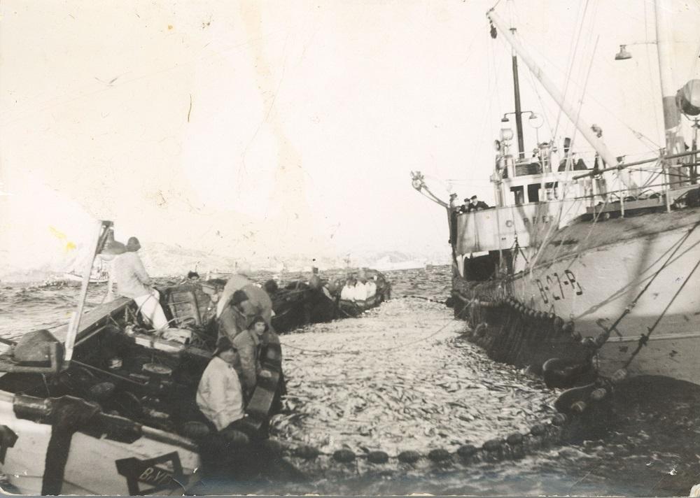 Br. V. Færøy leigde M/S "Presthus" frå Bergen som snurpefarty i ein 4-årsperipde frå 1954 til vintersildfiske. Vi ser doryane er merkte med Br. V. F. Dei åtte også motorlettbåten og snurpenota. Fiskarane er frå Solund. Bjarne Færøy er bas. Den ettertrakta og driftige mannen hadde og vore bas på "Flatøy", "Sørfold", "Sebaldi" og "Polhavet".