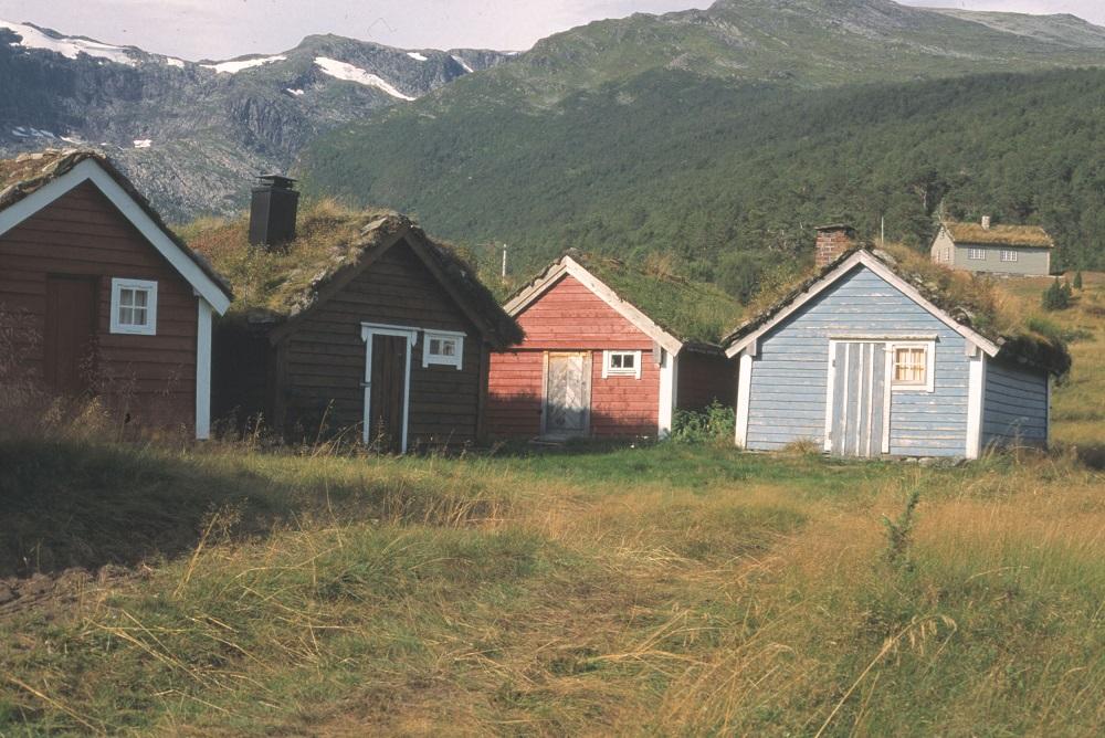 Husa på Ryggjastøylen var òg samla i tun.