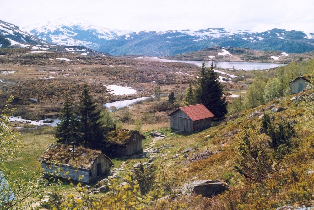 Mjellemstølen med 2 eldre sel, avkorta fjøs, sel/fjøs bak. Stølsvatnet i bakgrunnen.