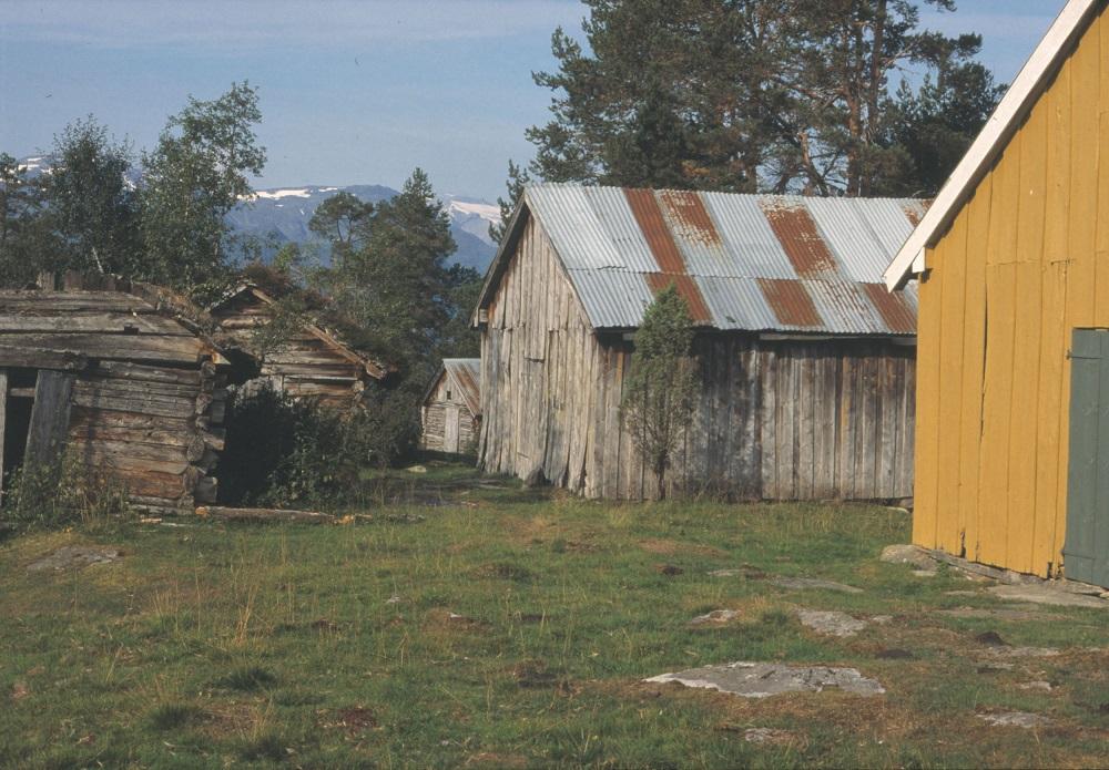 Gamle og nyare fjøs.