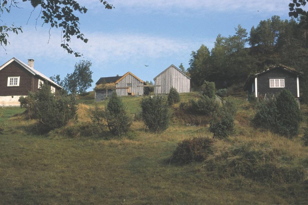 Tystadstølen med grøn voll og velordna hus.