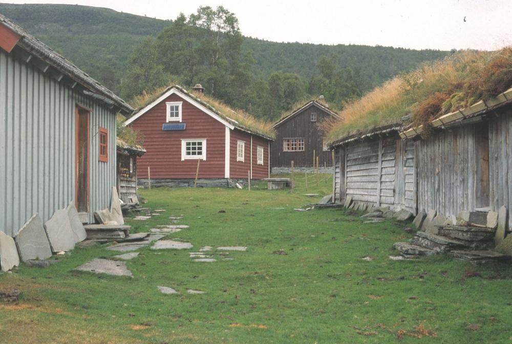 Gate med store sel.