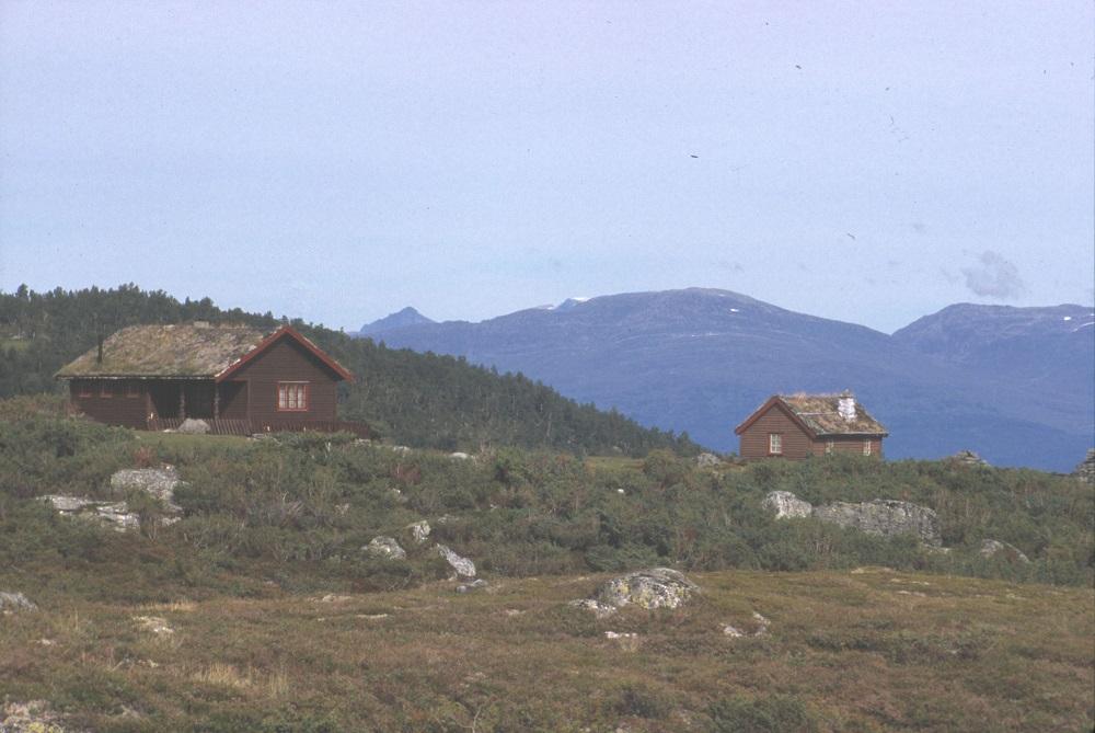 Feldestølen med dei to sela.