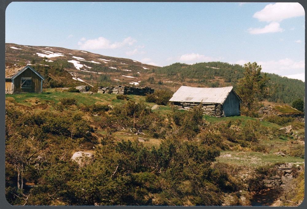 Moldestadstølen med sel og fjøs.