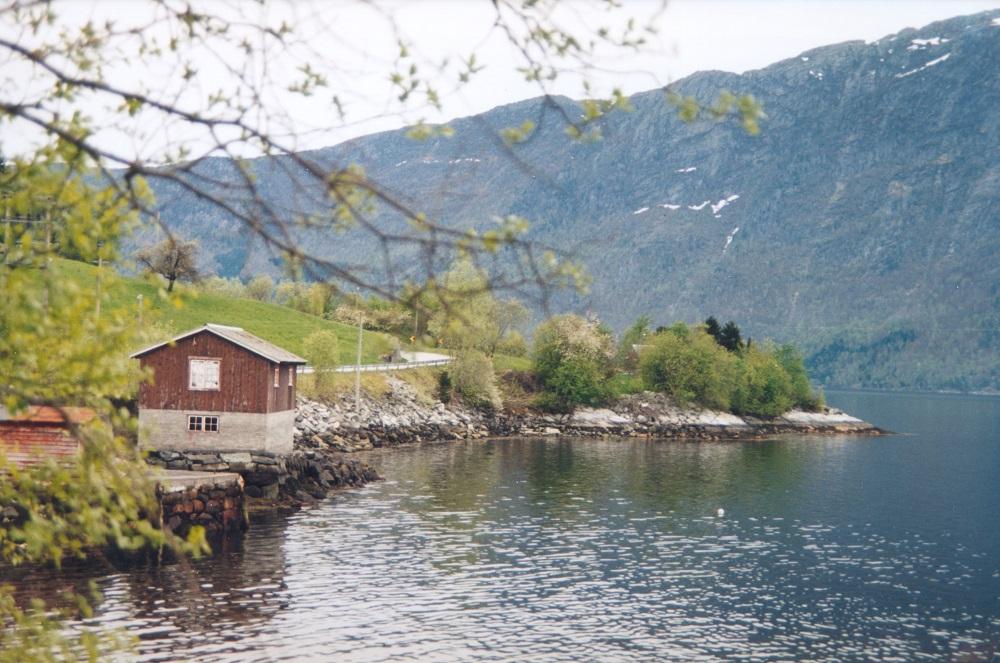 Kviteneset, slik ein møter det når ein kjem køyrande riksveg 615 mellom Rygg og Hestenesøyra. Som vi ser, er berget på neset kvitt. Dette har nok gjeve namn til staden. Huset til venstre i biletet er naustet på Kvitenes. Mellom svingen på vegen midt i biletet og pynten på neset skimtar vi taket på hytta, som ligg kloss inn til gravrøysa.
