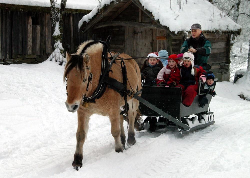 Fjordingen høyrer verkeleg heime i miljøet på Nordfjord folkemuseum. 

