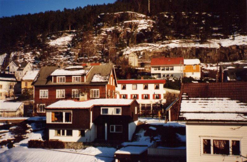 Gåsemyrkiosken midt i biletet. Det kvite huset med raud gesims framfor kiosken, er den nyaste delen av Sandane hotell, tidlegare Firdaheimen. Framfor Firdaheimen står det såkalla Ryssdalshuset. Huset er nyleg restaurert, men har fått behalde den opphavlege fasaden.
