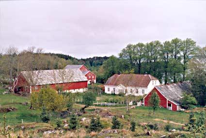 Gardstunet på Erikstad sett mot nord med hovudbygningen, Drengestova og Kjellarhuset til høgre og Gamlefjøsen, og den nyare fjøsen til venstre. Eit kjempestort tuntre mellom fjøsen og hovudbygningen måtte fellast i 2003.