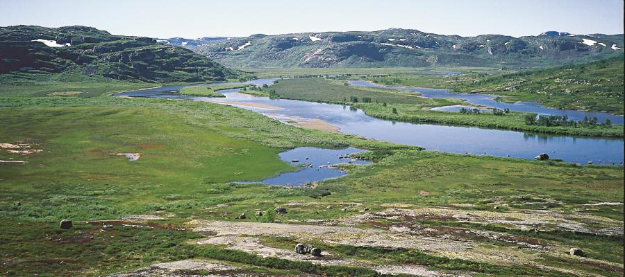 Rjotemyrane mellom Hedlo og Hadlaska