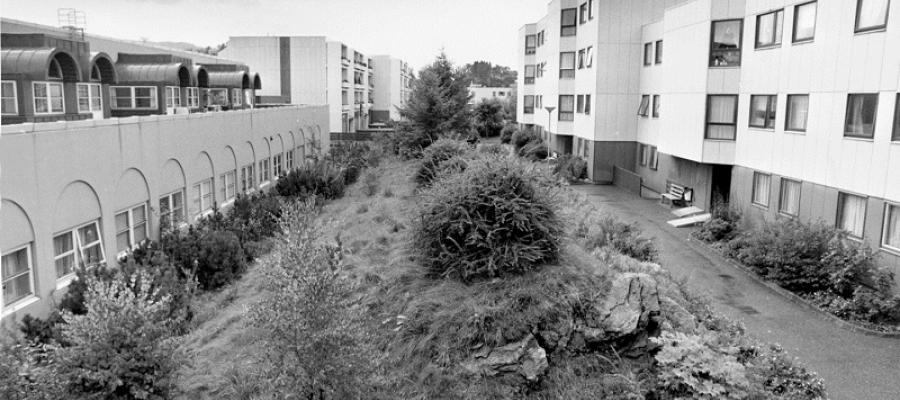 Åsane i 1986