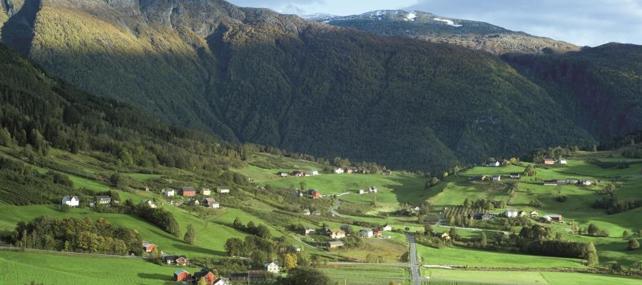 Jordbrukslandskapet i Ulvik