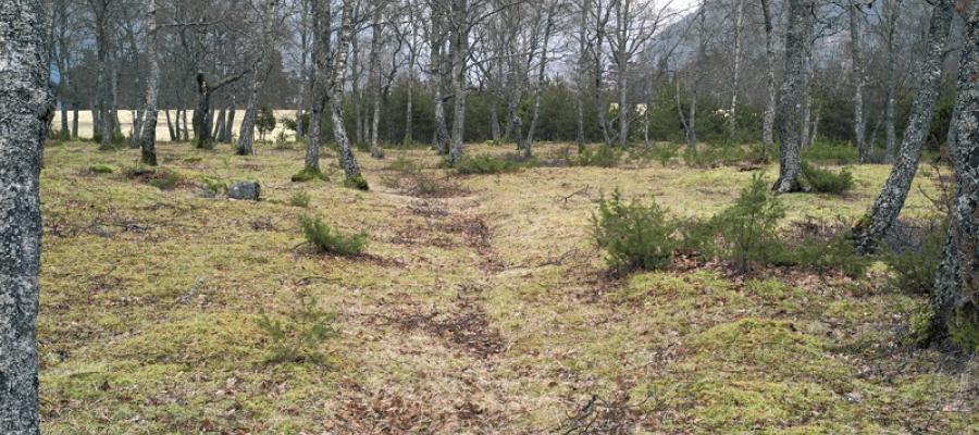 Holvegen over den idylliske terrassen på Hereid i Eidfjord