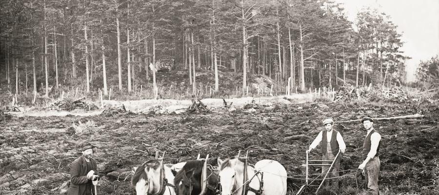 Frå Bu i Eidfjord,1920-åra