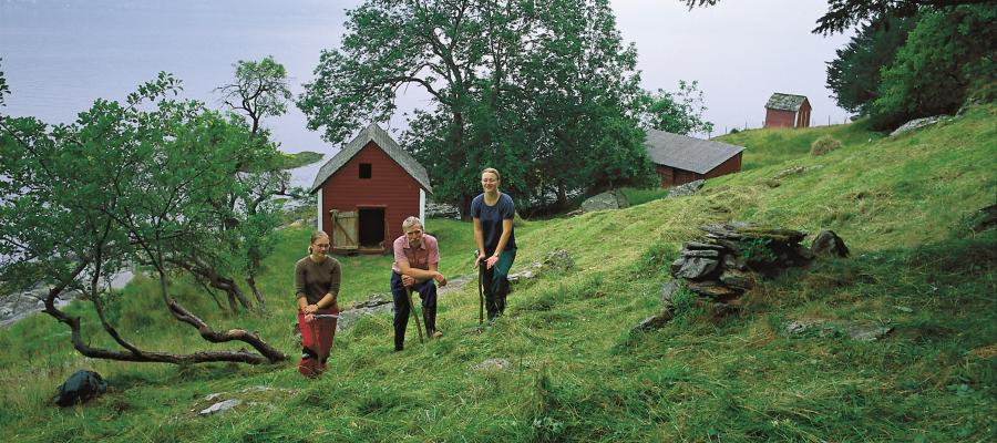 Slåttonn med stuttorv i Gjuvslandslia