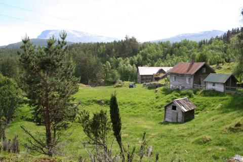 Nyborg på Frønningen, med Bleia naturreservat i bakgrunnen. Den fyrste skulen på Frønningen låg i nærleiken av Nyborg.