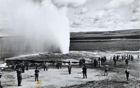 Skogplantarane fekk sjå mykje på Island. Her er dei framom Geysir.