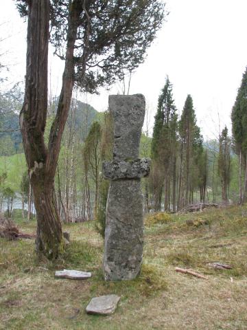 Krossteinen på Bell på Krossteinflata. Vinteren 2007/2008 vart det rydda skog rundt steinen. Steinen er vel 2 m høg.