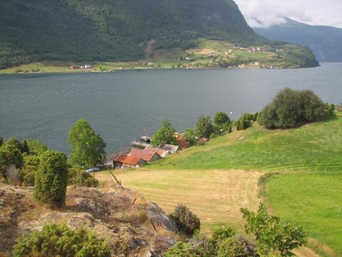 Utsyn mot Naglatun, naustrekkja der, Norafjorden og Fimreite. Sveravollen ligg til høgre, der trerunnen er.