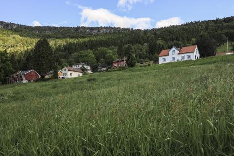 Garden Reme i Innvik