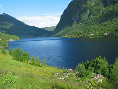 Holsavatnet er kjelda for elva Hulda. <i>Holsen</i> kjem av <i>Holdsær, sjøen til Huld</i>". Dette namnet blei så gardsnamn og bygdenamn.