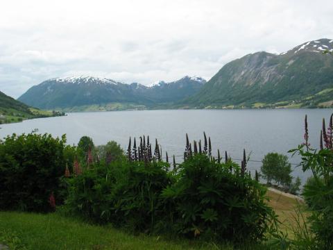 Det tre mil lange Jølstravatnet ligg med bygda rundt seg. Det er svært truleg at nettopp elva, og vatnet, er opphavet til bygdenamnet. Kanskje heitte vatnet før "Jolmu sær".