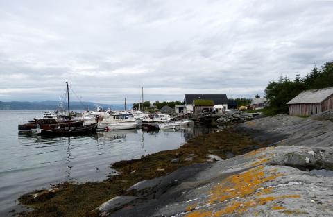 Den tidlegare båtstoppestaden på Losna, no småbåthamn. Biletet er teke under Losna-spelet 2012.