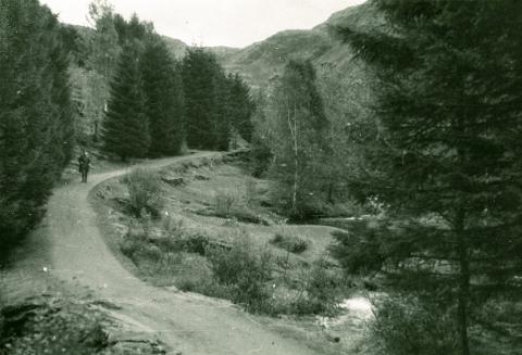 Ein tysk offiser på vegen i Ramsdalen.

 