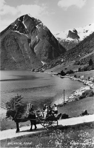 Turistar i stolkjerre på Tjugumsida av Esefjorden. Fjella i bakgrunnen (Esebotn) er Vindreken og Gulleplet.  

 