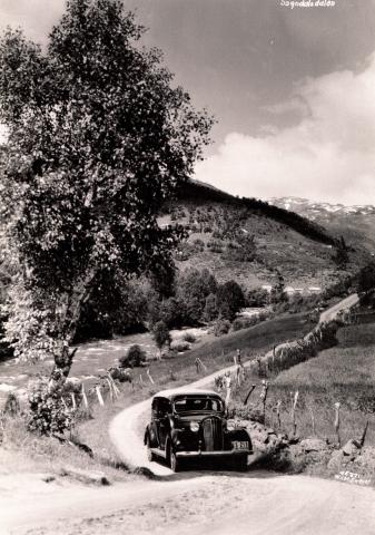 Den gamle Dalavegen opp Sogndalsdalen vart bygd i 1885, og går på austsida av Sogndalselva frå Sogndal til Selseng. Vegen var bygd som ein bygdeveg, men er i dag  fylkesveg.

