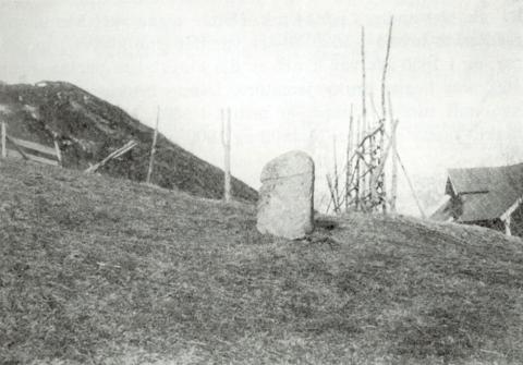 Steinen på Tunold kring 1930. Biletet står i Aaland si bygdebok som kom ut i 1932. Ein ser at steinen på denne tida har andre omgjevnader enn i 2001. Han står fritt i dyrka mark, og det er korkje ei stor steinhelle attmed han, eller store tre i nærleiken. Etter alt å døma har han ein gong vorte flytta til noverande plass.