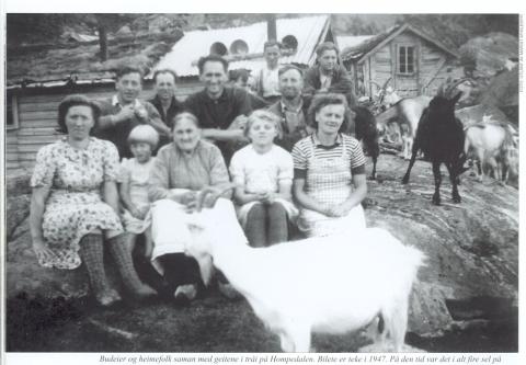 Budeier og heimefolk saman med geitene på stølstråi i Hompedalen 1947. I fremste rekkja frå venstre sit Olga Vigdal, Olina Vigdal, Elsa Øyen, Marta Teigen og Kari Myklemyr. Andre rekkja: Ola J. Myklemyr, Olav K. Øyen, Henrik Øyen, Otto Øyen Olav E. Fossen og Erik O. Fossen.