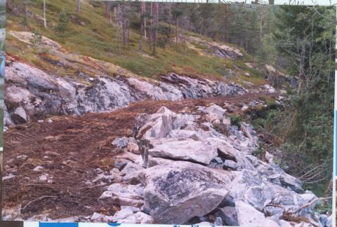 Somme stader kom alt av gamlevegen bort. Eitt av vilkåra var at vegbana skulle dekkjast med "humusmateriale", det vil seia torv og jord langs vegen på oppsida.