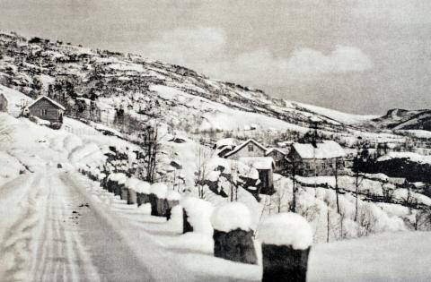 Garden Hove i Naustdal. I 1900 budde det 41 menneske på Hove.