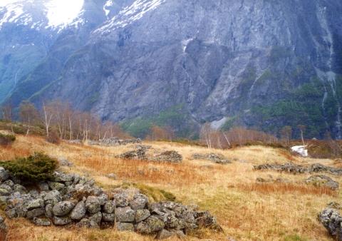 Litt av stølsvollen på Rimstigen. Mange av sela er mykje samanrasa. Fjella i bakgrunnen er på austsida av Nærøyfjorden.